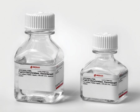 &#946;ß-glucuronidasi from limpets (Patella Vulgata), aqueous solution