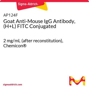 ヤギ抗マウスIgG抗体、(H+L) FITCコンジュゲート 2&#160;mg/mL (after reconstitution), Chemicon&#174;