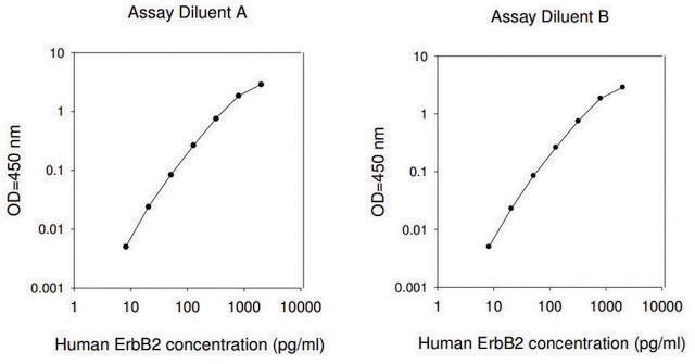 人ErbB2 / HER2 ELISA试剂盒 for serum, plasma, cell culture supernatant and urine