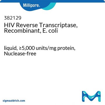 HIV逆转录酶，重组，大肠埃希菌 liquid, &#8805;5,000&#160;units/mg protein, Nuclease-free