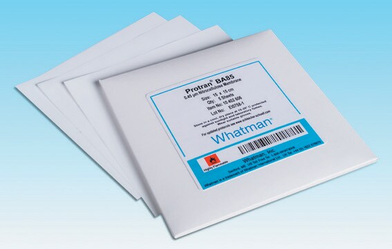 Whatman&#174; nitrocellulose membrane filters plain white, pore size 0.2&#160;&#956;m, diam. 90&#160;mm