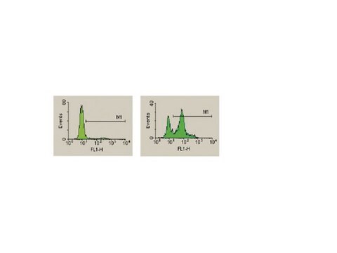 CaspaTag Caspase 3,7 In Situ Assay Kit, fluoresceina The In Situ Caspase Detection Kit for Flow Cytometry use a novel approach to detect active caspases. The methodology is based on Fluorochrome Inhibitors of Caspases (FLICA).