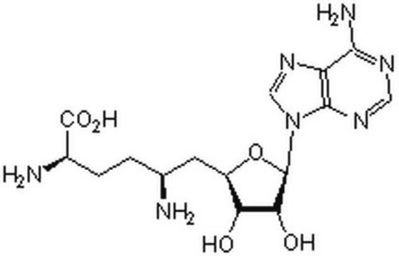 西奈芬净 InSolution, &#8805;95%, antibiotic