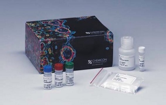 Kit de detecção de apoptose in situ ApopTag Peroxidase The ApopTag Peroxidase In Situ Apoptosis Detection Kit detects apoptotic cells in situ by labeling &amp; detecting DNA strand breaks by the TUNEL method.