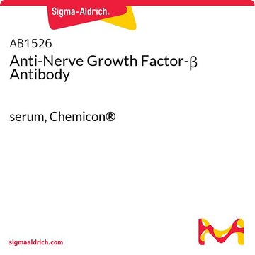 Anti-Nervenwachstumsfaktor&#946;-Antikörper serum, Chemicon&#174;