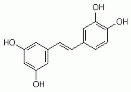 白皮杉醇 A cell-permeable, substrate competitive and reversible plant metabolite that inhibits the activity of rat liver protein kinase A catalytic subunit (IC&#8325;&#8320; = 3 &#181;M), PKC (IC&#8325;&#8320; = 8 &#181;M), MLCK (IC&#8325;&#8320; = 12 &#181;M).