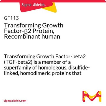 Transforming Growth Factor-&#946;2 Protein, Recombinant human Transforming Growth Factor-beta2 (TGF-beta2) is a member of a superfamily of homologous, disulfide-linked, homodimeric proteins that regulate the proliferation &amp; differentiation of normal &amp; transformed cells.