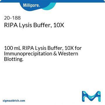 Tampão de lise para RIPA, 10X 100 mL RIPA Lysis Buffer, 10X for Immunoprecipitation &amp; Western Blotting.