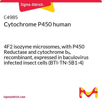 Cytochrome P450 human 4F2 isozyme microsomes, with P450 Reductase and cytochrome b5, recombinant, expressed in baculovirus infected insect cells (BTI-TN-5B1-4)