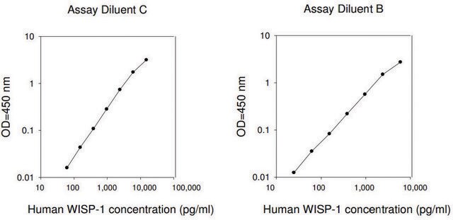 Human WISP-1 / CCN4 ELISA Kit for serum, plasma, cell culture supernatant and urine