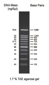 DirectLoad&#8482;&nbsp;Plus 100-bp-DNA-Leiter