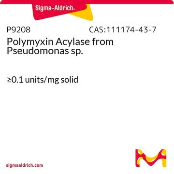 ポリミキシンアシラーゼ Pseudomonassp. （シュードモナス）由来 &#8805;0.1&#160;units/mg solid