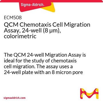 QCM 化性細胞遊走アッセイ、24 ウェル（8 &#181;m）、比色分析 The QCM 24-well Migration Assay is ideal for the study of chemotaxis cell migration. The assay uses a 24-well plate with an 8 micron pore size, with colorimetric detection.