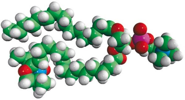 16:0-16 Doxyl PC Avanti Research&#8482; - A Croda Brand 810604P, powder