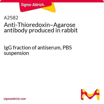 Anti-Thioredoxin–Agarose antibody produced in rabbit IgG fraction of antiserum, PBS suspension