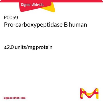 Pro-carboxypeptidase B human &#8805;2.0&#160;units/mg protein