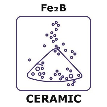 Iron boride powder, max. particle size 500 micron, weight 20&#160;g