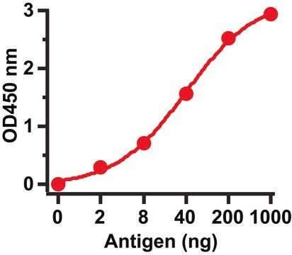 Anti-SARS-CoV Matrix antibody produced in rabbit affinity isolated antibody