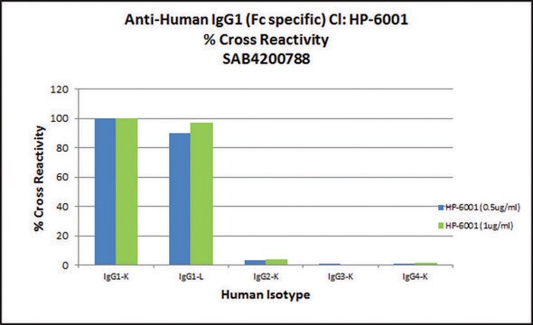 Anti-Human IgG1 (Fc specific) antibody, Mouse monoclonal clone HP-6001, purified from hybridoma cell culture