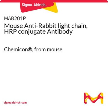 Anti-Kaninchen-Leichtkette der Maus, HRP-Konjugat-Antikörper Chemicon&#174;, from mouse