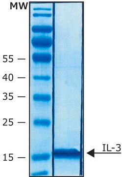 人白介素-3 来源于小鼠 Carrier free, recombinant, expressed in E. coli, &#8805;98% (SDS-PAGE), suitable for cell culture