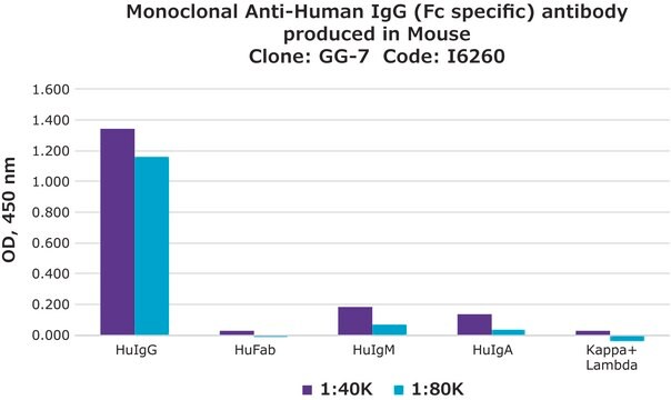 抗-人IgG(Fc特异性)单克隆抗体 小鼠抗 clone GG-7, ascites fluid