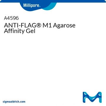 Affinitätsgel ANTI-FLAG&#174; M1 Agarose