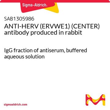 ANTI-HERV (ERVWE1) (CENTER) antibody produced in rabbit IgG fraction of antiserum, buffered aqueous solution