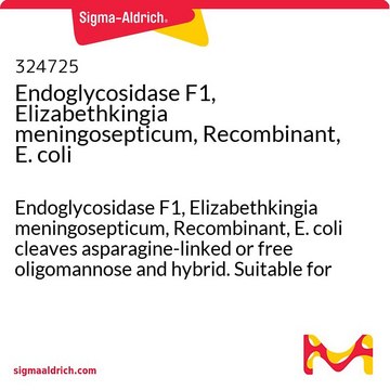 Endoglycosidase F1, Elizabethkingia meningosepticum, rekombinant, E. coli Endoglycosidase F1, Elizabethkingia meningosepticum, Recombinant, E. coli cleaves asparagine-linked or free oligomannose and hybrid. Suitable for deglycosylation of native proteins.