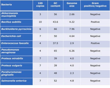 Mieszanka DNA społeczności drobnoustrojów Suitable for PCR, sequencing and NGS, 10&#160;ng/&#956;L