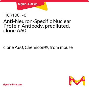 Anti-Neuron-Specific Nuclear Protein Antibody, prediluted, clone A60 clone A60, Chemicon&#174;, from mouse