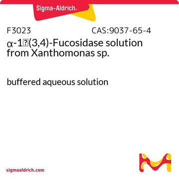 &#945;-1&#8594;(3,4)-Fucosidase solution from Xanthomonas sp. buffered aqueous solution