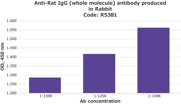 抗 大鼠 IgG（全分子） 兔抗 whole antiserum