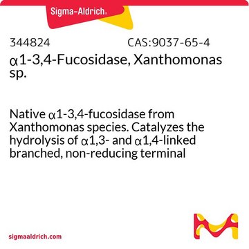 &#945;1-3,4-Fucosidase, Xanthomonas sp. Native &#945;1-3,4-fucosidase from Xanthomonas species. Catalyzes the hydrolysis of &#945;1,3- and &#945;1,4-linked branched, non-reducing terminal fucose from complex carbohydrates. Note: 1 mU = 1 milliunit.