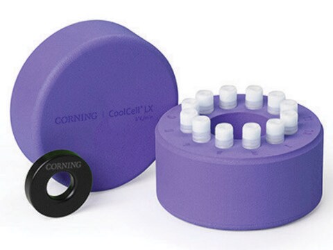 康宁公司&#174; CoolCell &#8482; LX 细胞冷冻容器 (12 x 1 mL or 2 mL cryogenic vials), purple