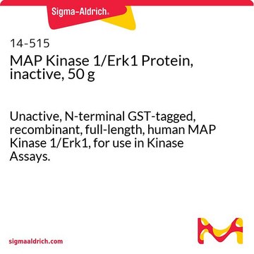 MAP激酶1/Erk1蛋白，失活，50 g Unactive, N-terminal GST-tagged, recombinant, full-length, human MAP Kinase 1/Erk1, for use in Kinase Assays.