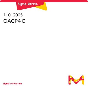 OACP4 C