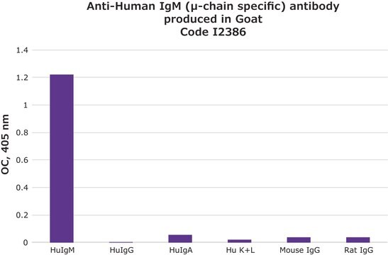 抗-ヒトIgM（&#956;-鎖特異的） ヤギ宿主抗体 affinity isolated antibody, buffered aqueous solution