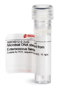 Wzorzec mikrobiologicznego DNA z Enterococcus faecalis Suitable for PCR, sequencing and NGS, 10&#160;ng/&#956;L