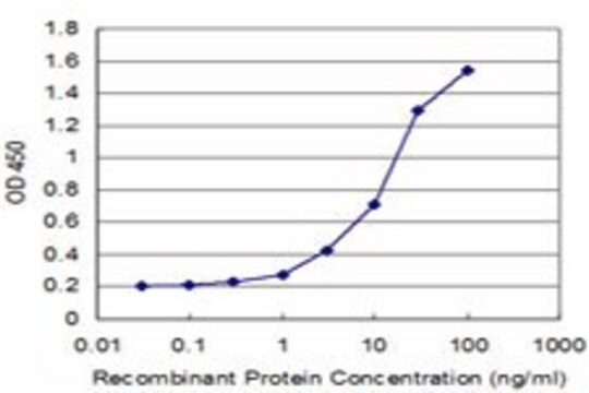 Monoclonal Anti-NELL1 antibody produced in mouse clone 3F1, purified immunoglobulin, buffered aqueous solution