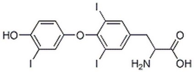 L-3,3′,5-trijodotyronina, wolny kwas, wysoka czystość Chromatographically purified.