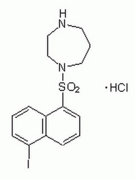 ML-7, Hydrochlorid A cell-permeable, potent, reversible, ATP-competitive, and selective inhibitor of myosin light chain kinase (Ki = 300 nM).