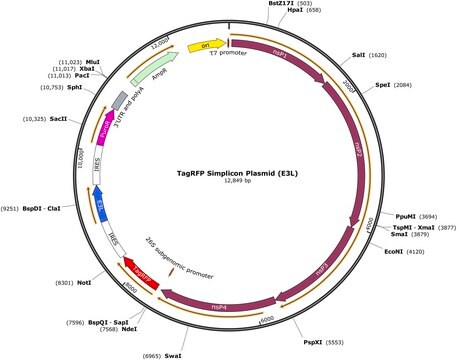 TagRFP-Simplicon&#174;-Plasmid (E3L)