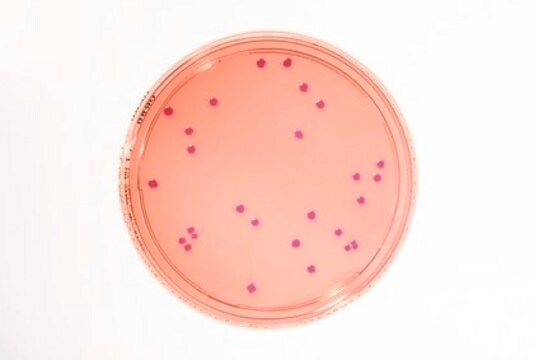 HEIMPLATE Kristallviolett-Neutralrot-Galle-Dextrose-Agar-Sedimentationsplatte Heimplate, APHA, ISO 21528, USP, JP, plate diam. × filling volume 90&#160;mm × 30&#160;mL/ft