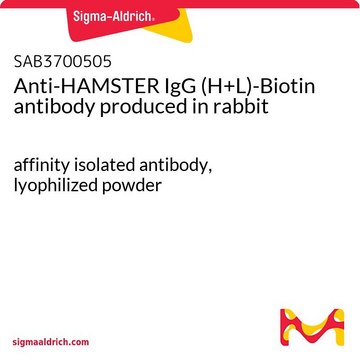 Anti-HAMSTER IgG (H+L)-Biotin antibody produced in rabbit affinity isolated antibody, lyophilized powder