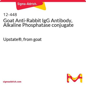 Anti-Kaninchen-IgG-Antikörper der Ziege, alkalische Phosphatase-Konjugat Upstate&#174;, from goat