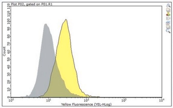 Anti-TSLP Receptor Antibody, clone 1A6 clone 1A6, from mouse