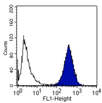 Anti-Integrin-&#945;-2-Antikörper, Klon&nbsp;P1E6, azidfrei clone P1E6, Chemicon&#174;, from mouse