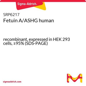 Fetuin A/ASHG human recombinant, expressed in HEK 293 cells, &#8805;95% (SDS-PAGE)