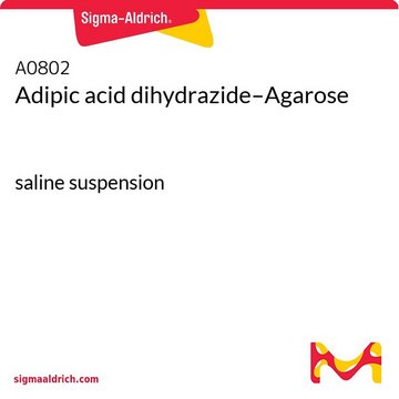 Adipinsäuredihydrazid-Agarose saline suspension